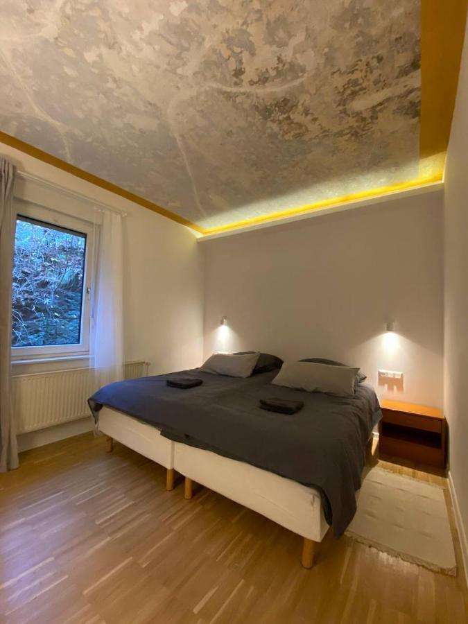 Ferienhaus Art Apartment - Harz 조르게 외부 사진