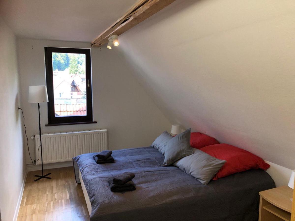 Ferienhaus Art Apartment - Harz 조르게 외부 사진