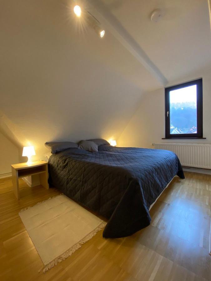 Ferienhaus Art Apartment - Harz 조르게 외부 사진
