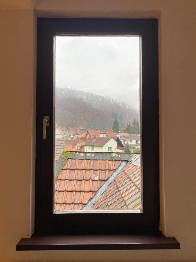 Ferienhaus Art Apartment - Harz 조르게 외부 사진